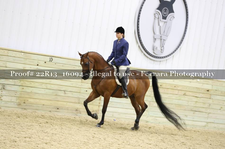 Proof 22R13_16094