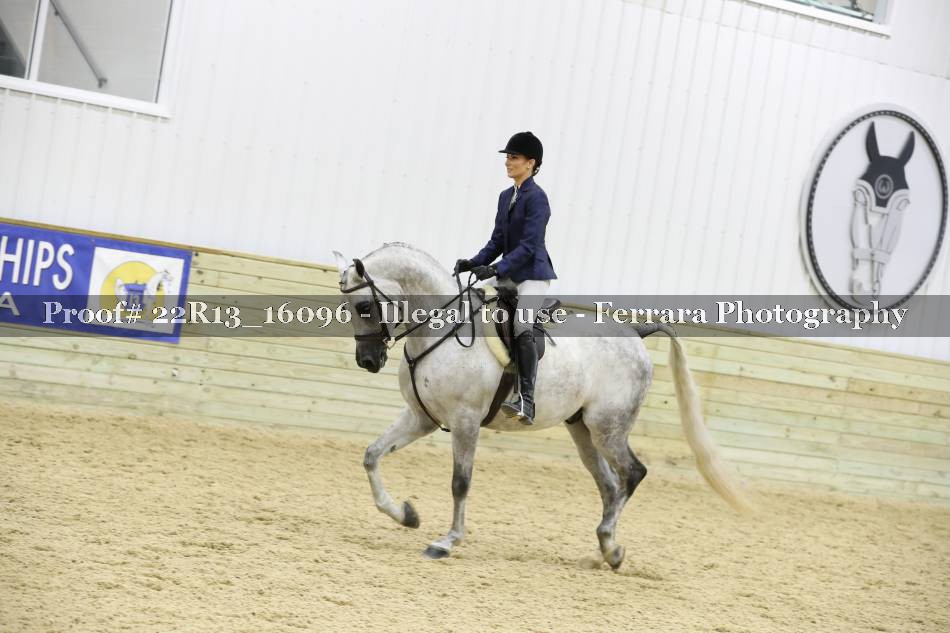 Proof 22R13_16096