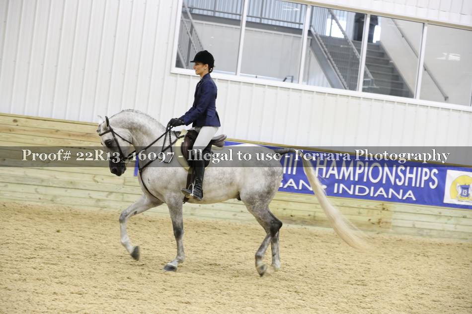 Proof 22R13_16097
