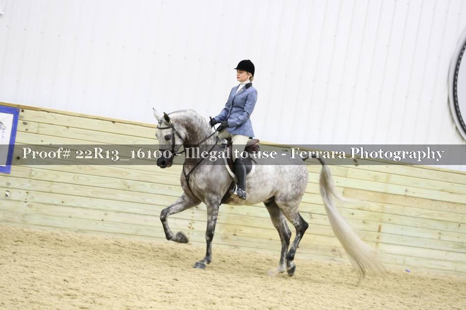 Proof 22R13_16100