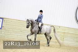 22R13_16100 proof
