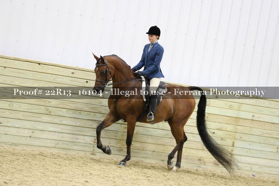 Proof 22R13_16104