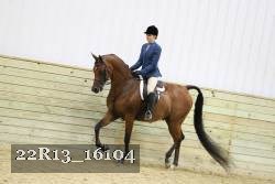 22R13_16104 proof