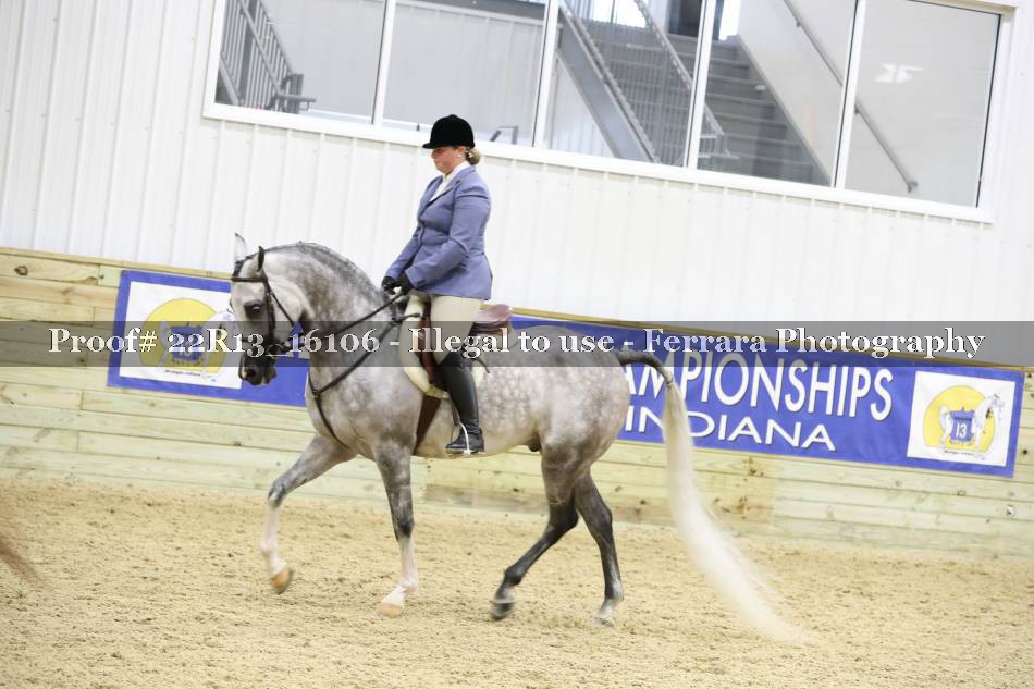 Proof 22R13_16106