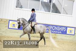 22R13_16106 proof