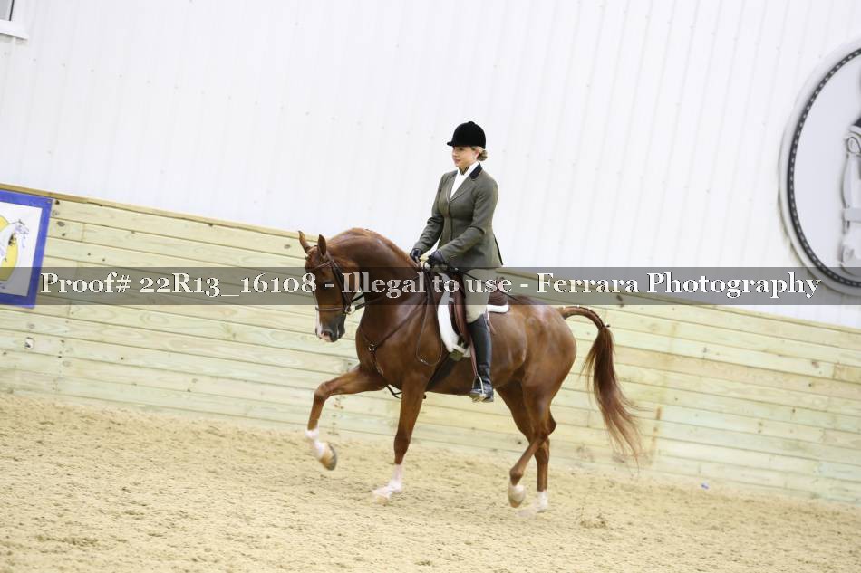 Proof 22R13_16108