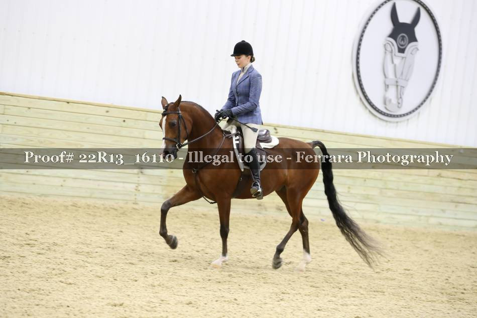 Proof 22R13_16110
