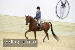 22R13_16110 proof