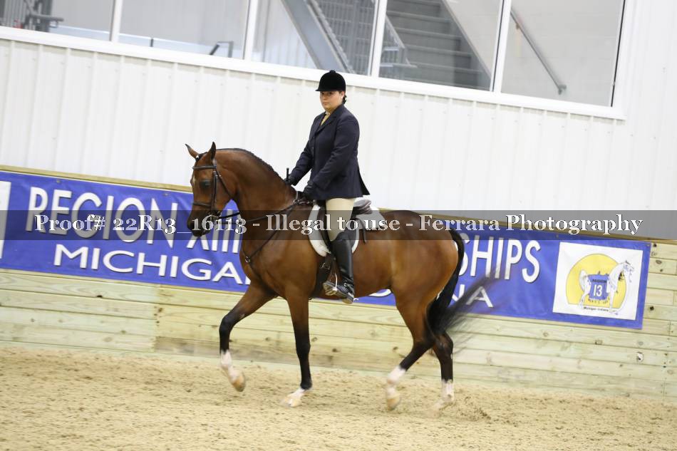 Proof 22R13_16113