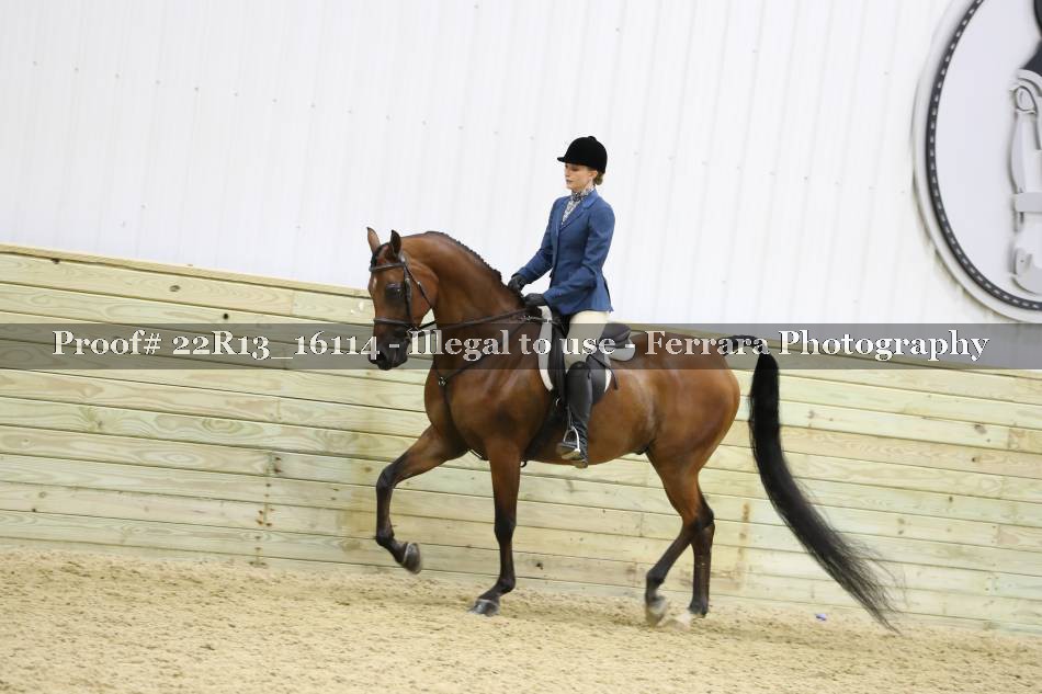 Proof 22R13_16114