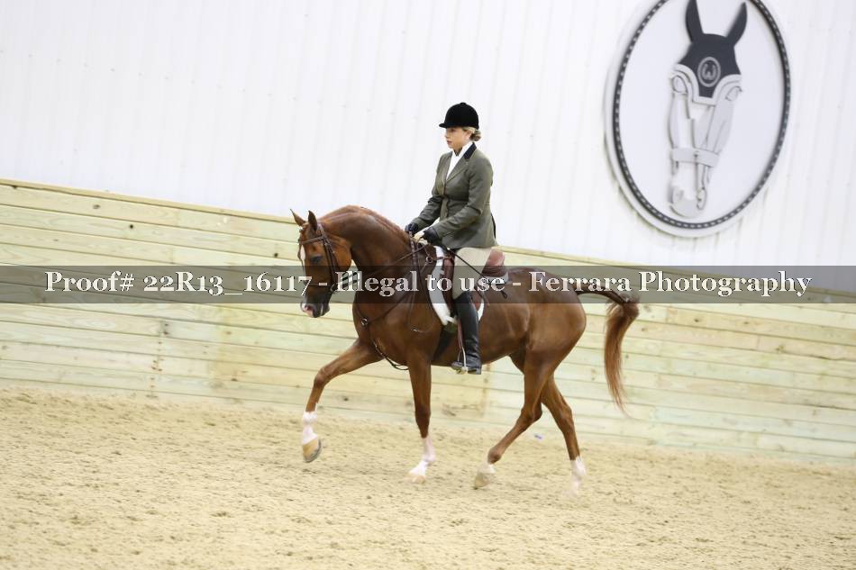 Proof 22R13_16117