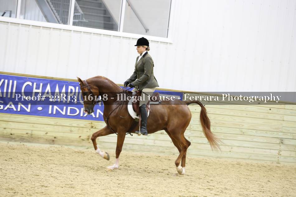 Proof 22R13_16118