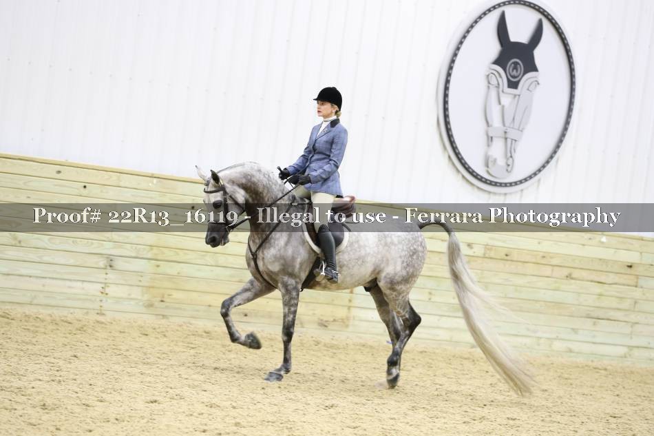 Proof 22R13_16119