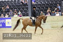 22R13_16122 proof