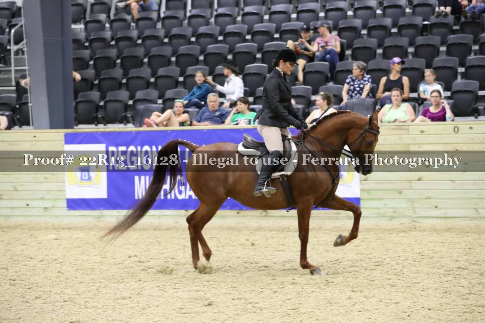 Proof 22R13_16128