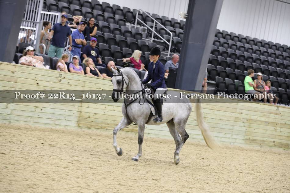 Proof 22R13_16137