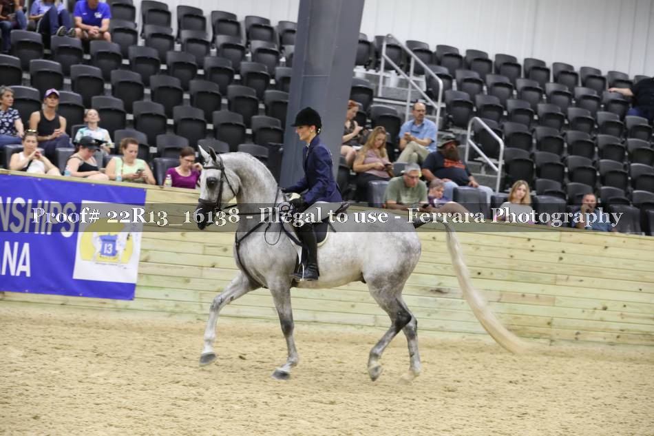 Proof 22R13_16138