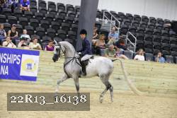 22R13_16138 proof