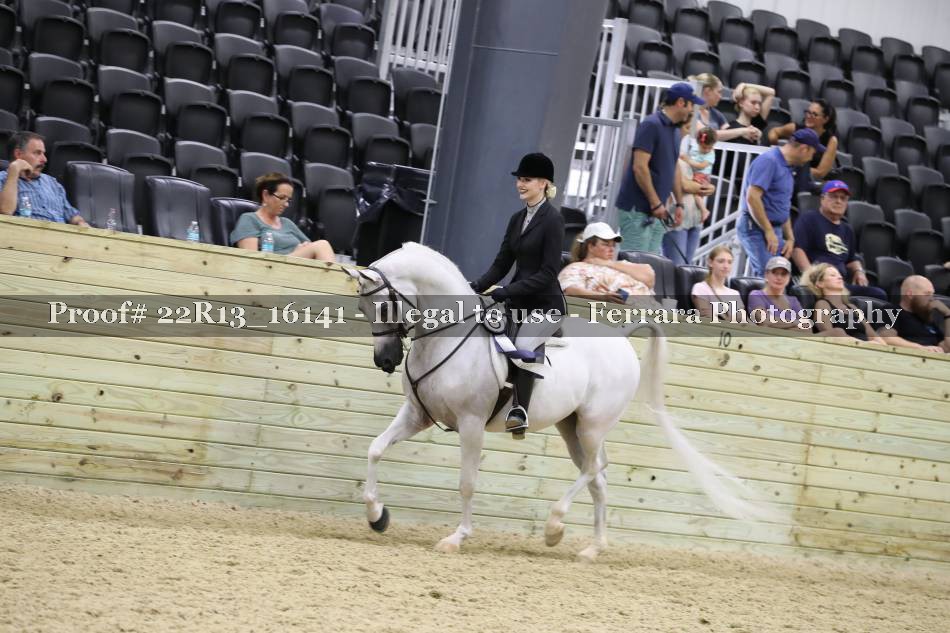 Proof 22R13_16141