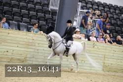 22R13_16141 proof