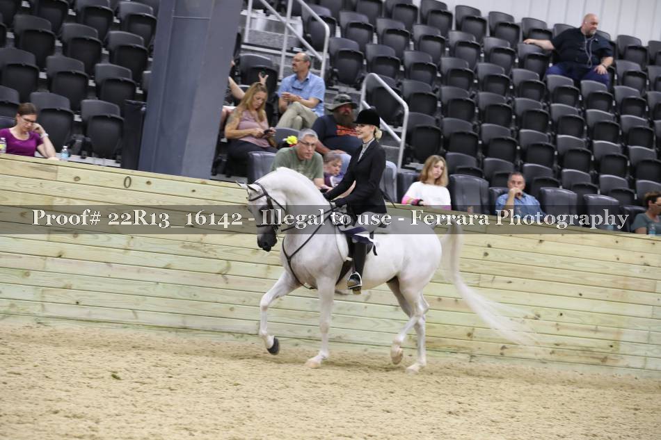 Proof 22R13_16142