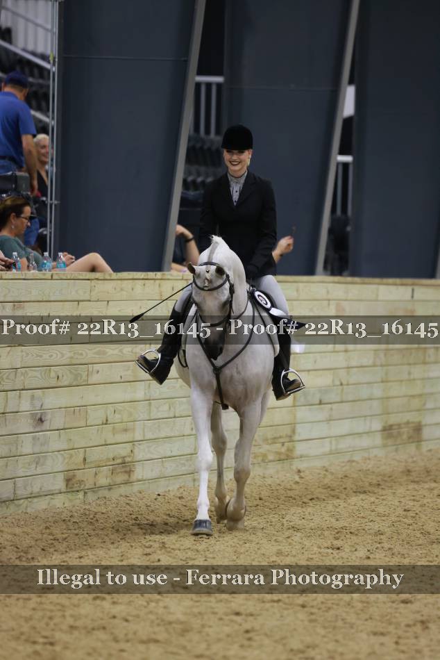 Proof 22R13_16145
