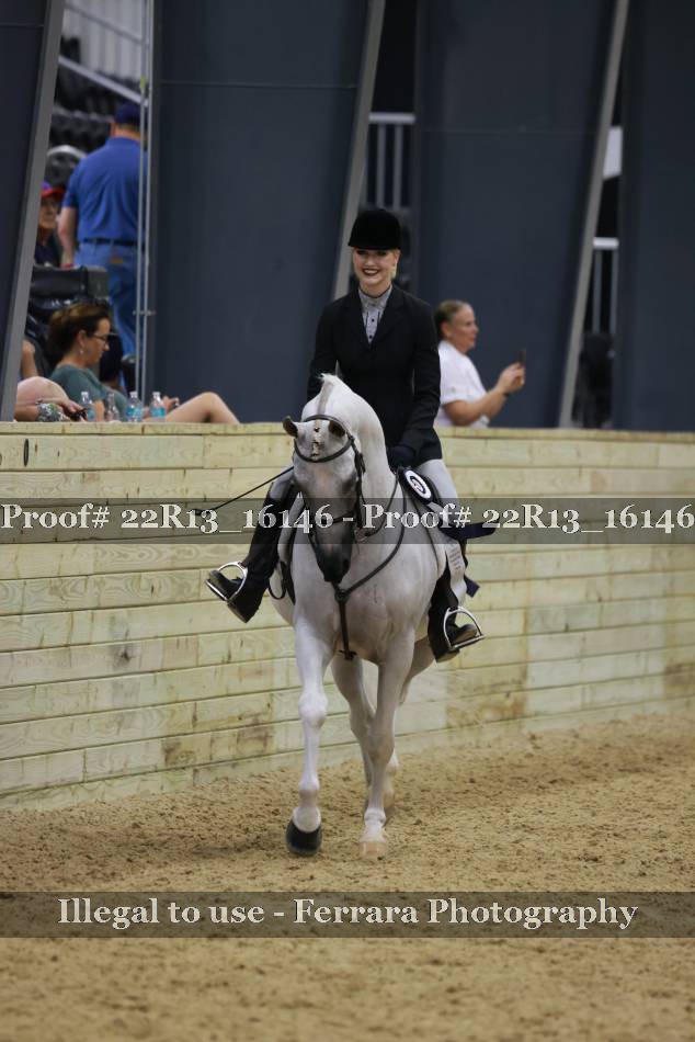 Proof 22R13_16146