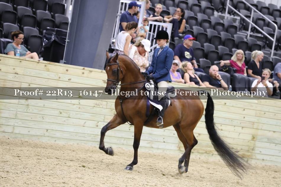 Proof 22R13_16147