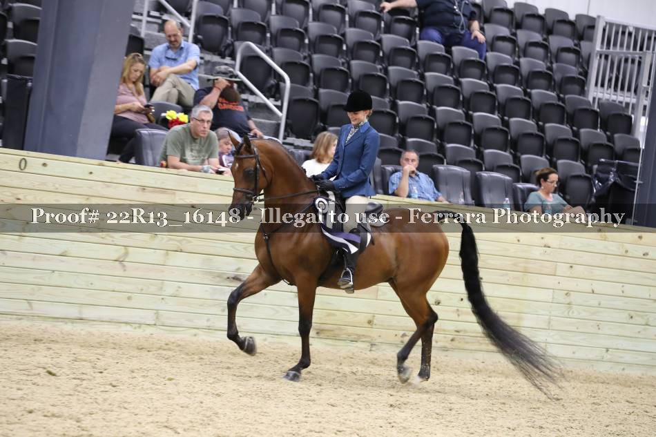 Proof 22R13_16148
