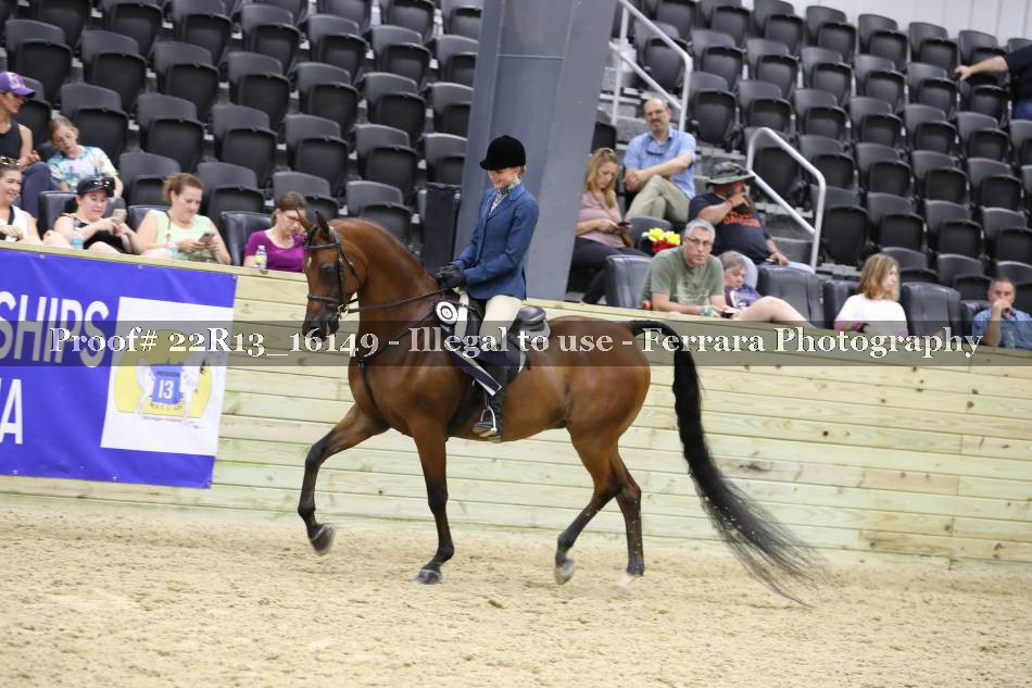 Proof 22R13_16149