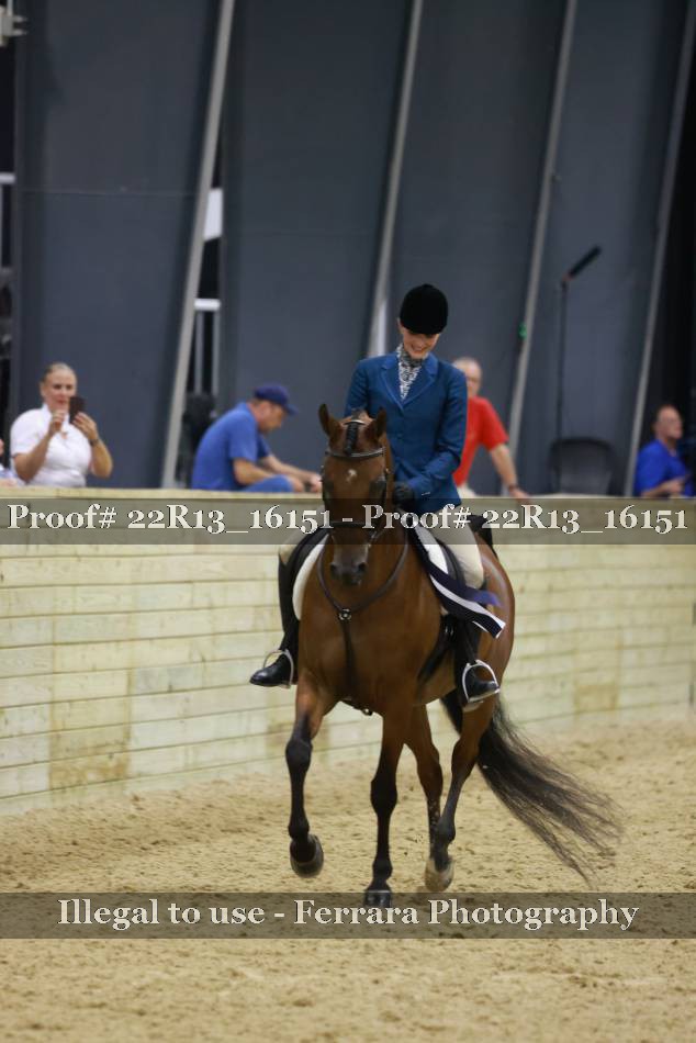 Proof 22R13_16151