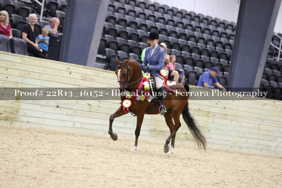 Proof 22R13_16152