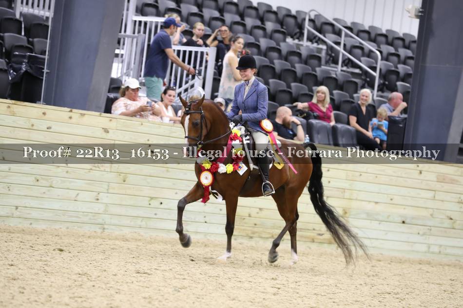 Proof 22R13_16153