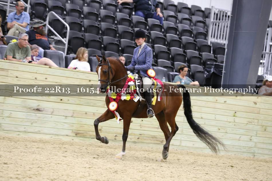 Proof 22R13_16154