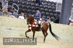 22R13_16154 proof