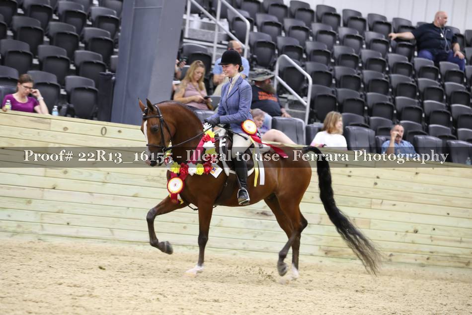 Proof 22R13_16155