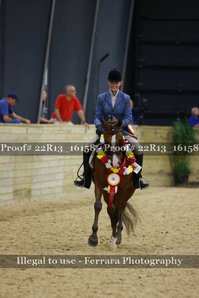 Proof 22R13_16158