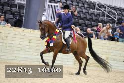22R13_16160 proof