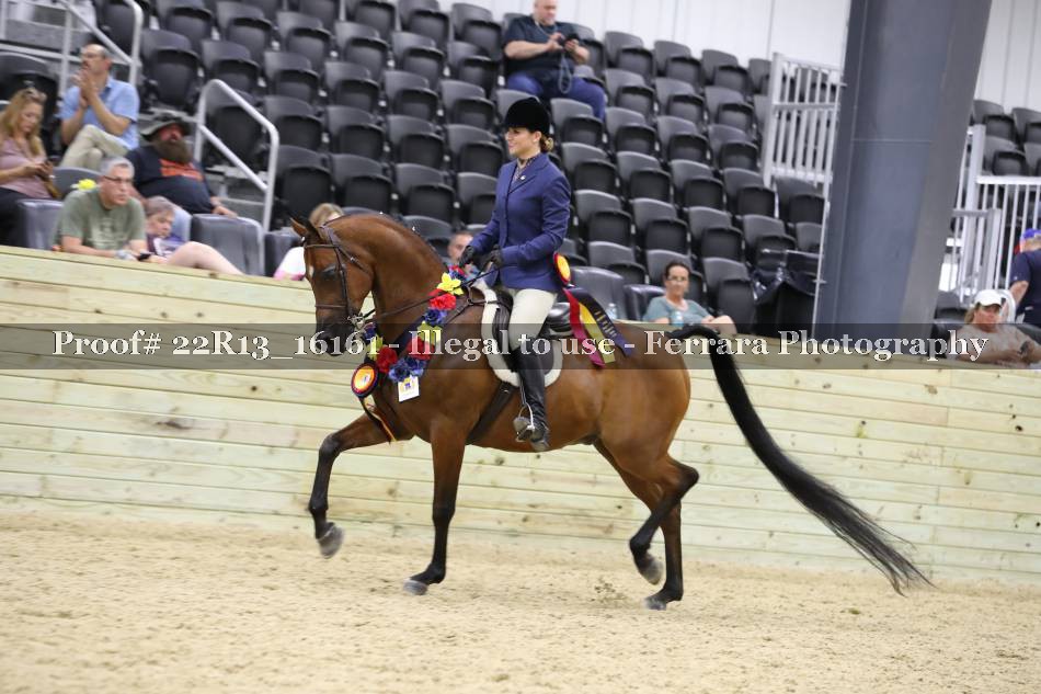 Proof 22R13_16161