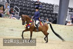 22R13_16161 proof