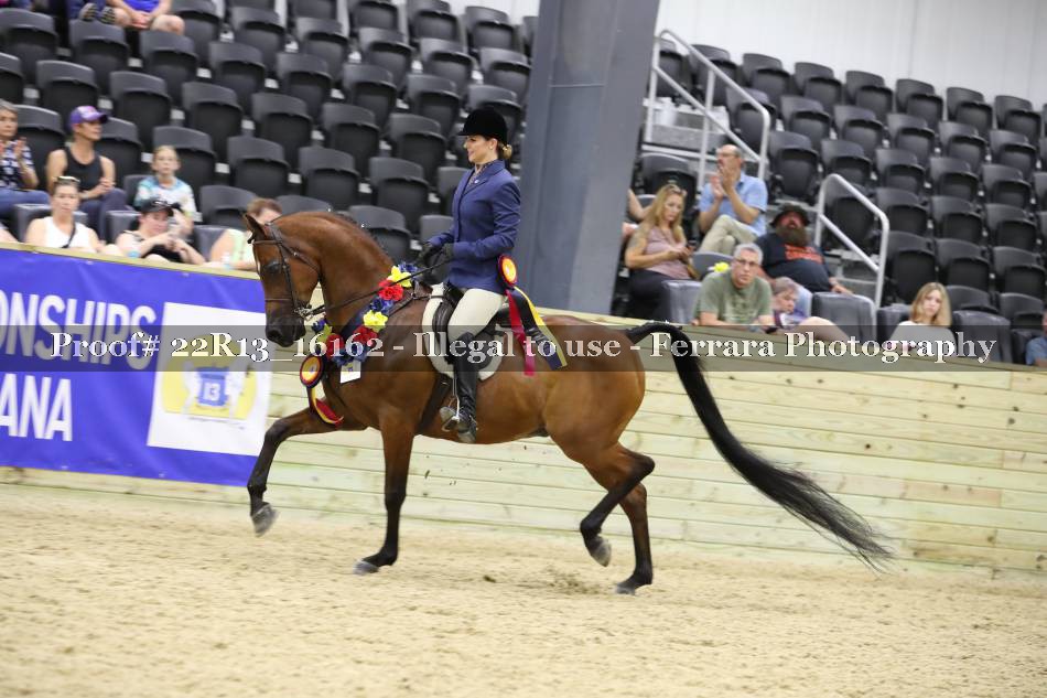 Proof 22R13_16162