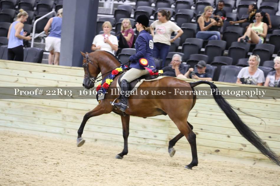 Proof 22R13_16165