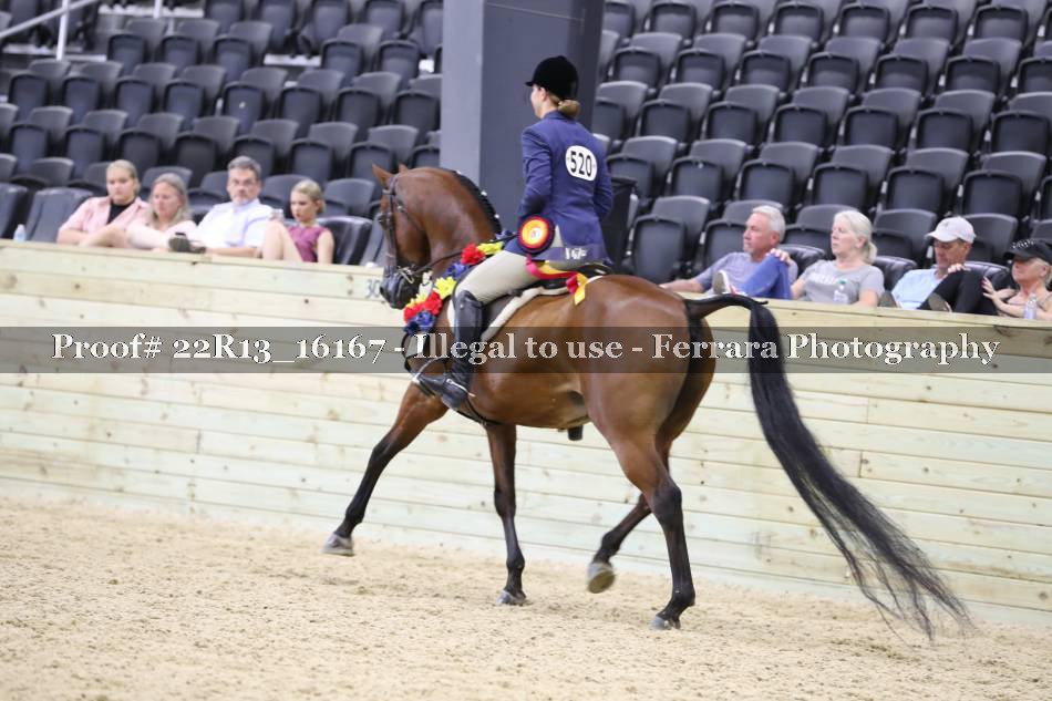 Proof 22R13_16167