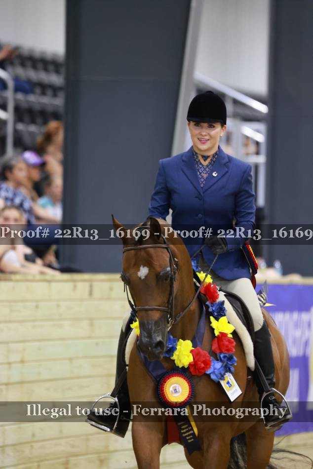 Proof 22R13_16169