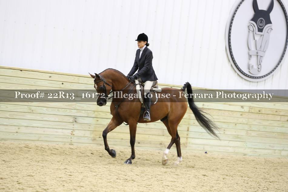 Proof 22R13_16172