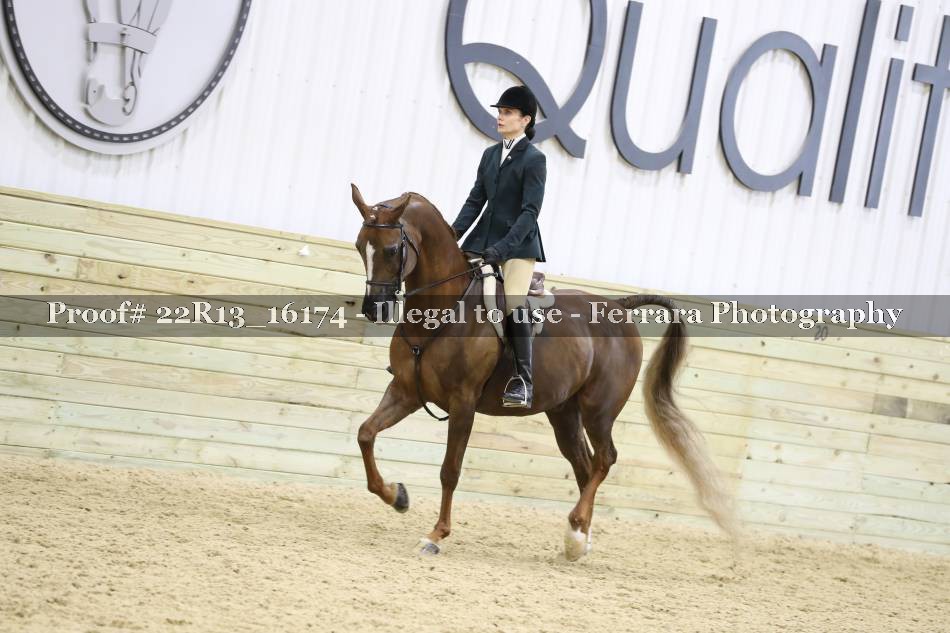 Proof 22R13_16174