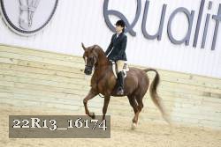 22R13_16174 proof