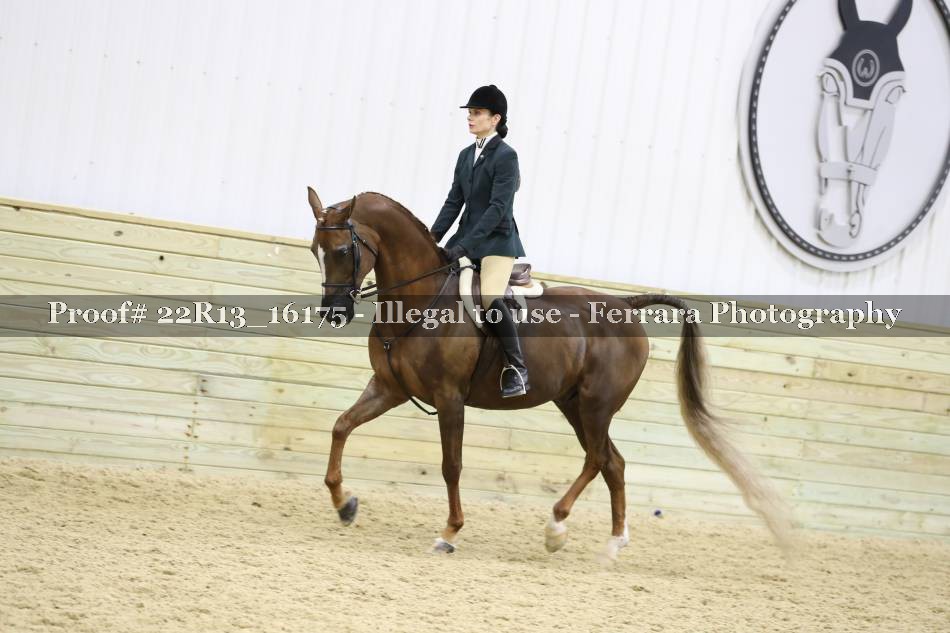 Proof 22R13_16175