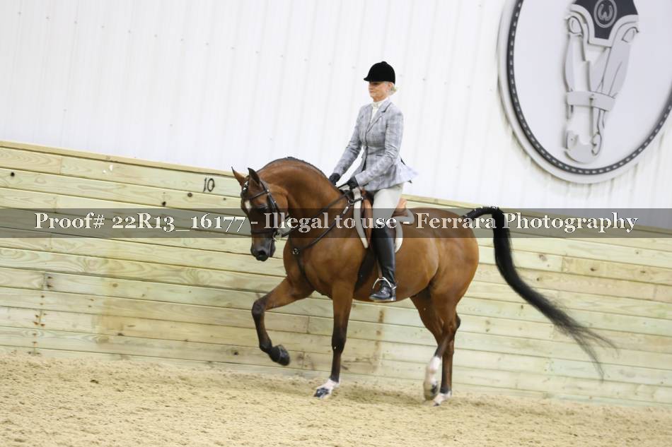 Proof 22R13_16177