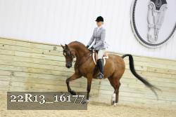 22R13_16177 proof